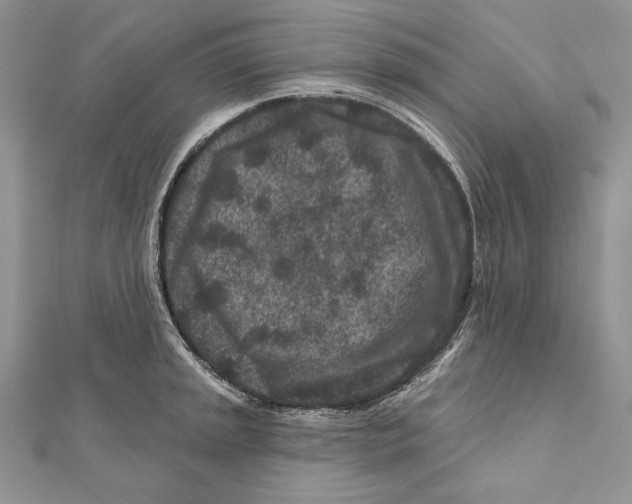 X0000111871045200908201213