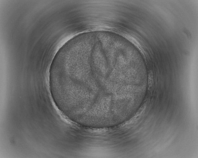 X0000111871047200908201213