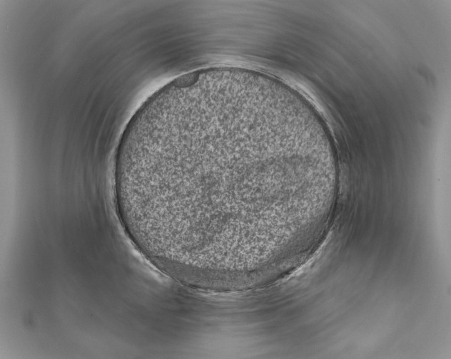 X0000111871048200908201213