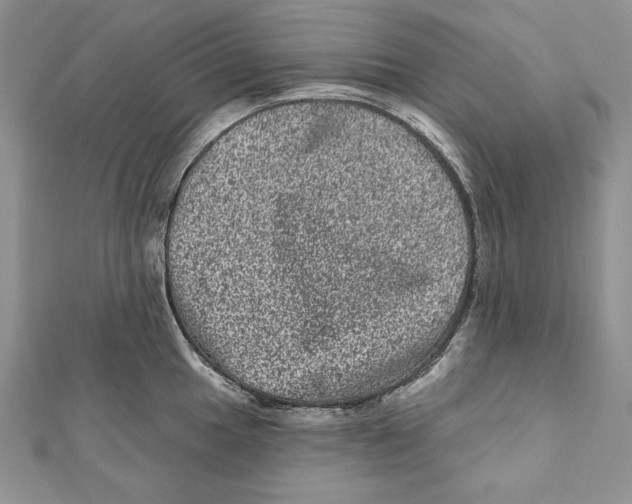 X0000111871049200908201213