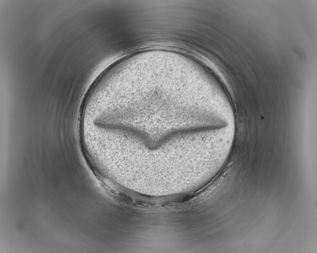 X0000111871050200908201213