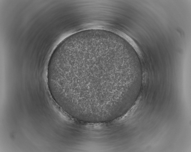 X0000111871051200908201213