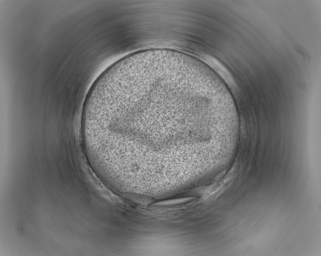 X0000111871052200908201213