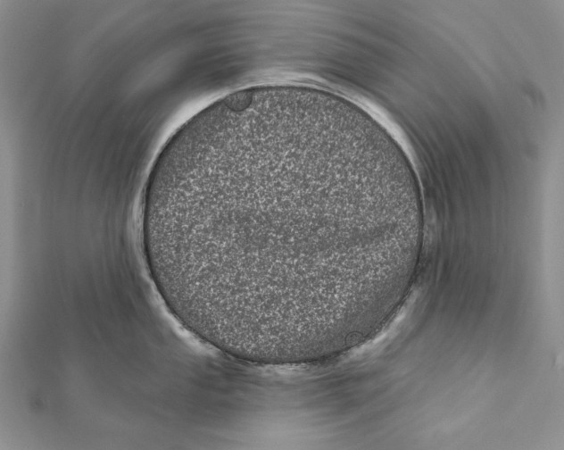 X0000111871053200908201213