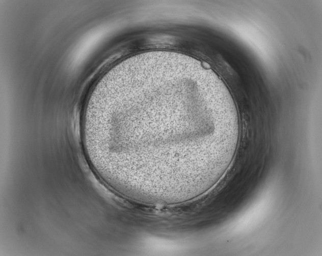 X0000111871054200908201213