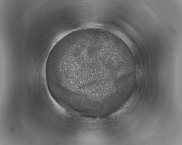 X0000111871055200908201213