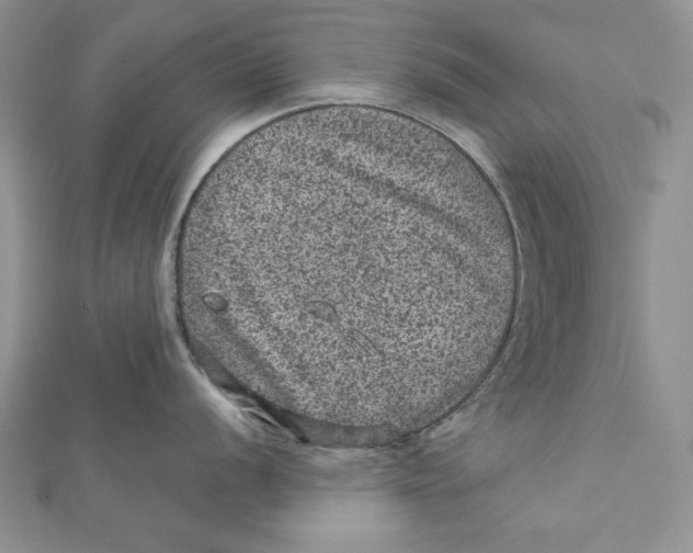 X0000111871056200908201213