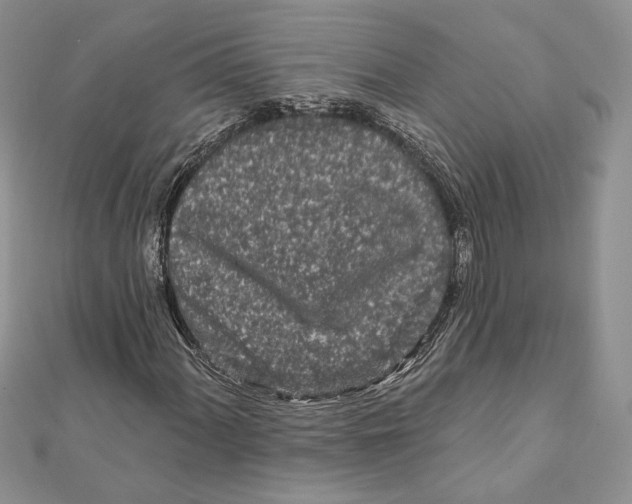 X0000111871060200908201212