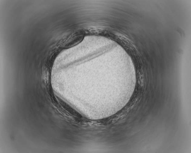 X0000111871061200908201212