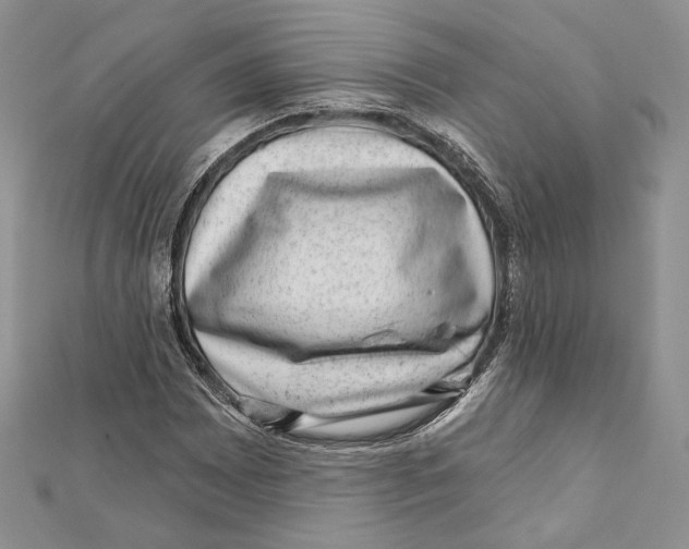 X0000111871065200908201212