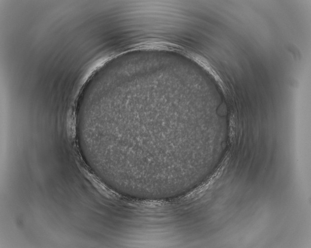 X0000111871067200908201212