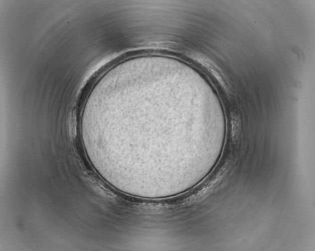 X0000111871069200908201212