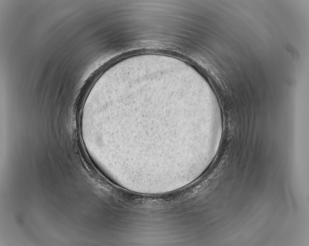 X0000111871070200908201212