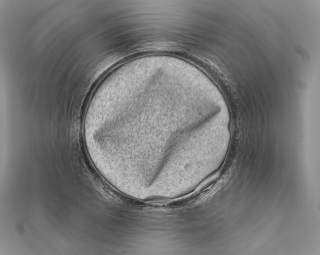 X0000111871073200908201212