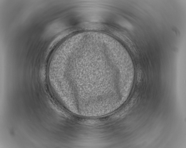 X0000111871074200908201212