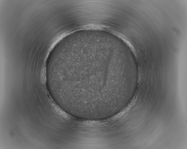 X0000111871075200908201212