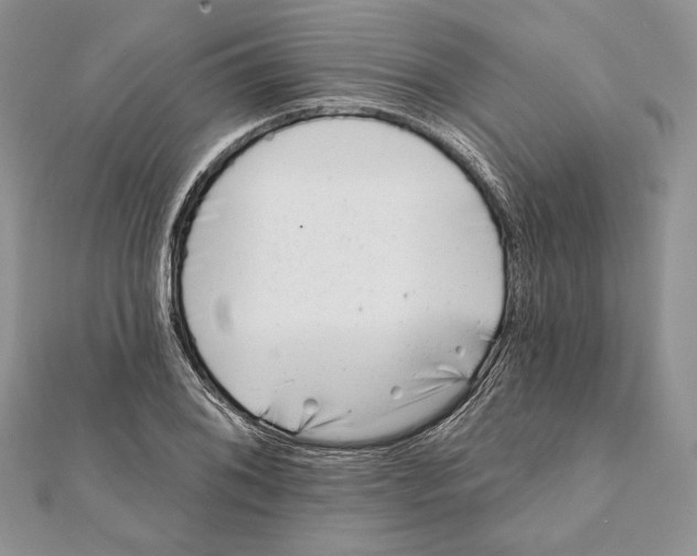 X0000111871076200908201212