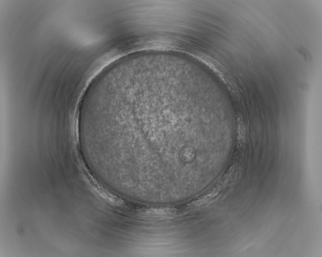 X0000111871078200908201212