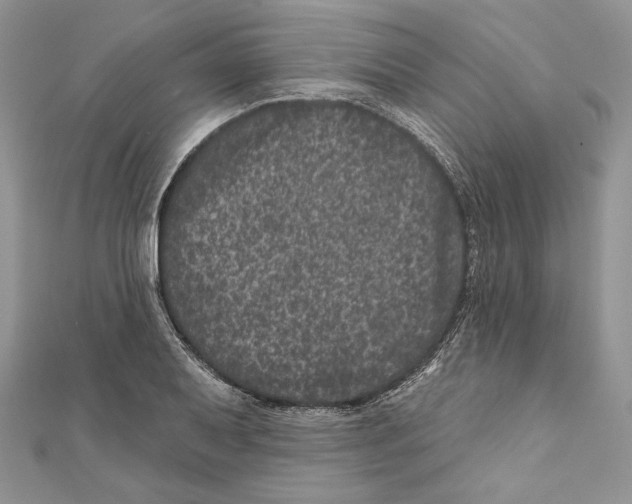 X0000111871079200908201212