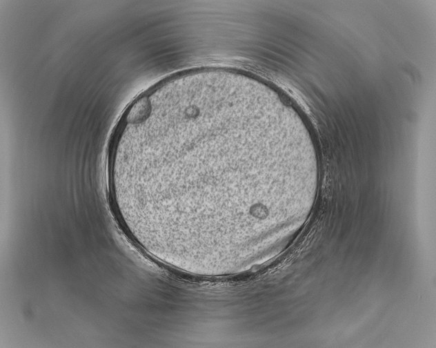 X0000111871080200908201212