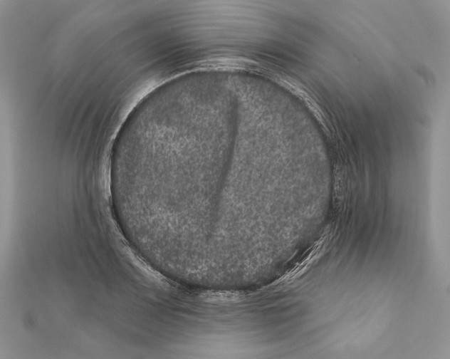 X0000111871083200908201212