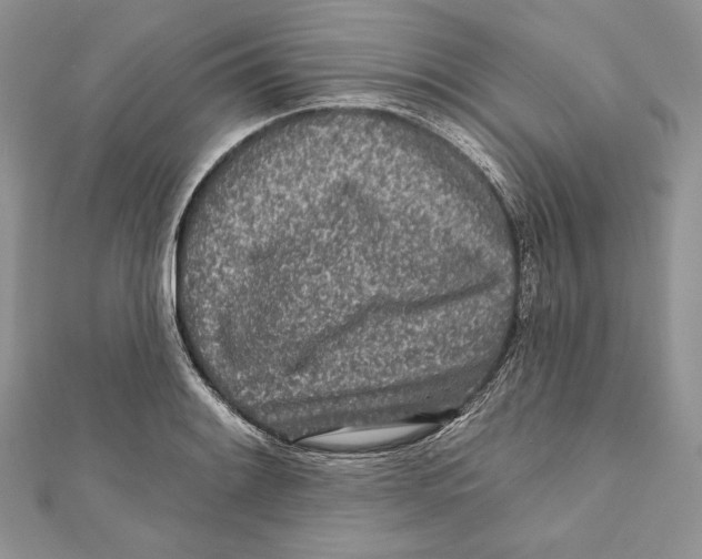 X0000111871084200908201212