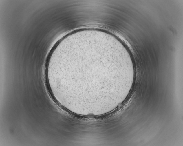 X0000111871085200908201212