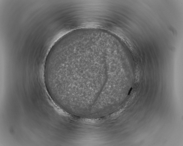 X0000111871086200908201212