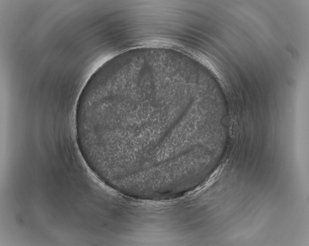 X0000111871087200908201212