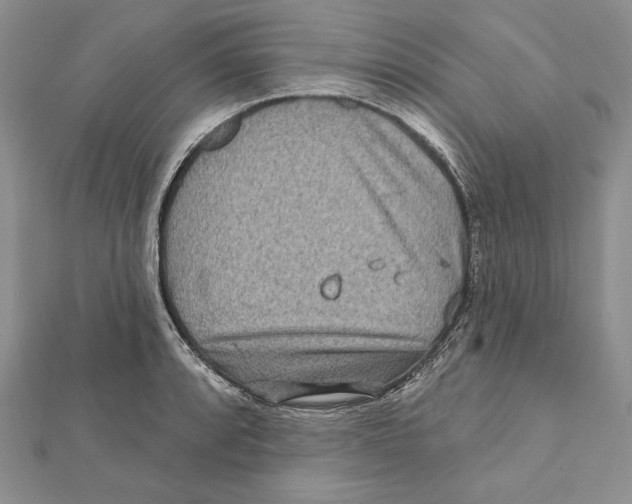 X0000111871088200908201211