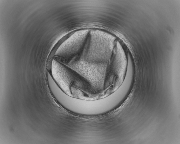 X0000111871089200908201211