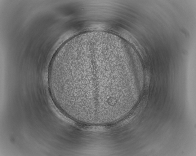 X0000111871090200908201211