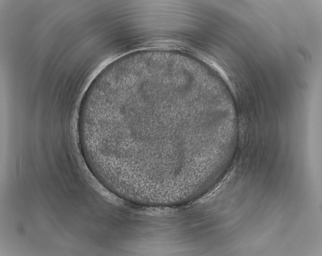 X0000111871091200908201211