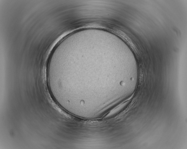 X0000111871092200908201211