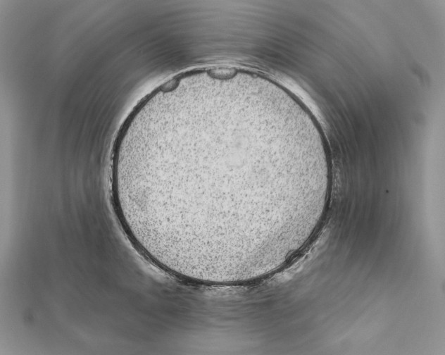 X0000111871093200908201211