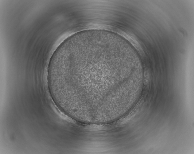 X0000111871094200908201211