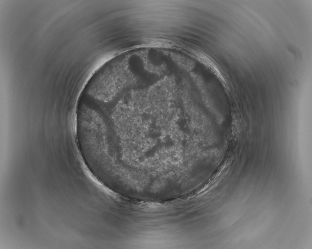 X0000111871095200908201211