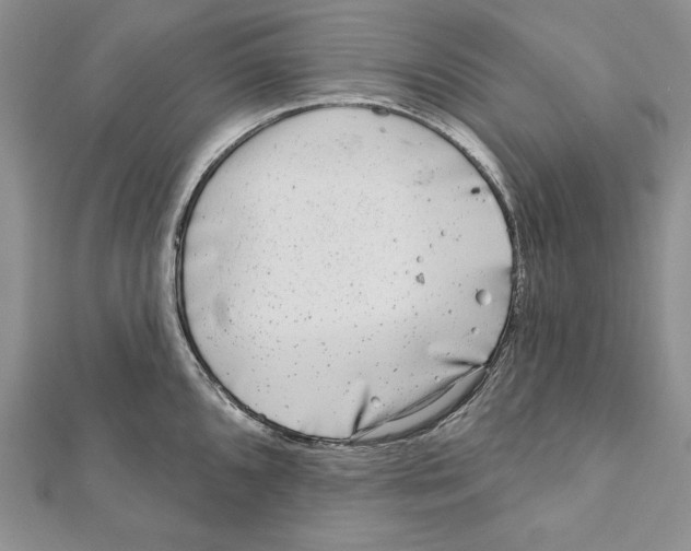 X0000111871096200908201211