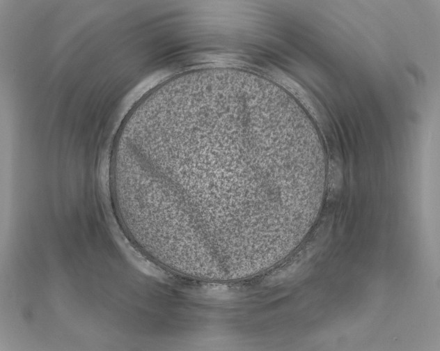 X0000111871098200908201211