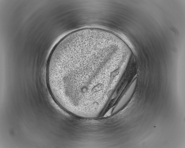 X0000111871100200908201211