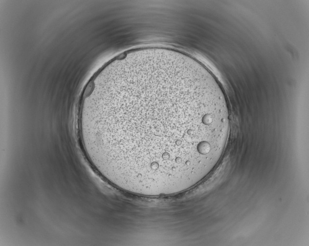 X0000111871101200908201211