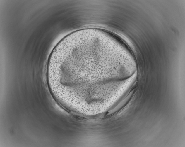 X0000111871102200908201211