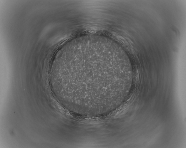 X0000111871105200908201210