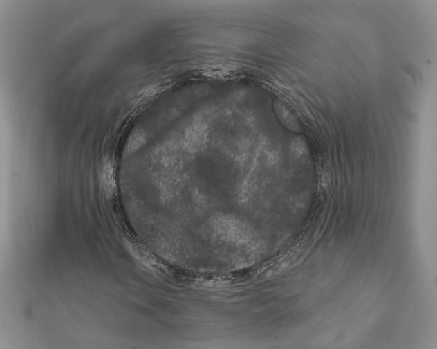 X0000111871106200908201210