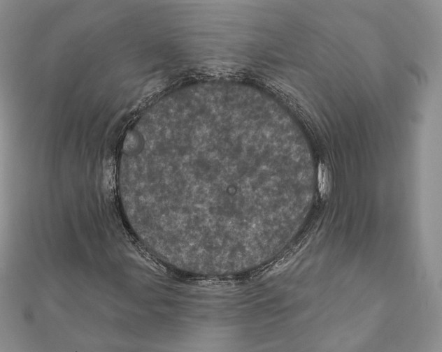 X0000111871107200908201210