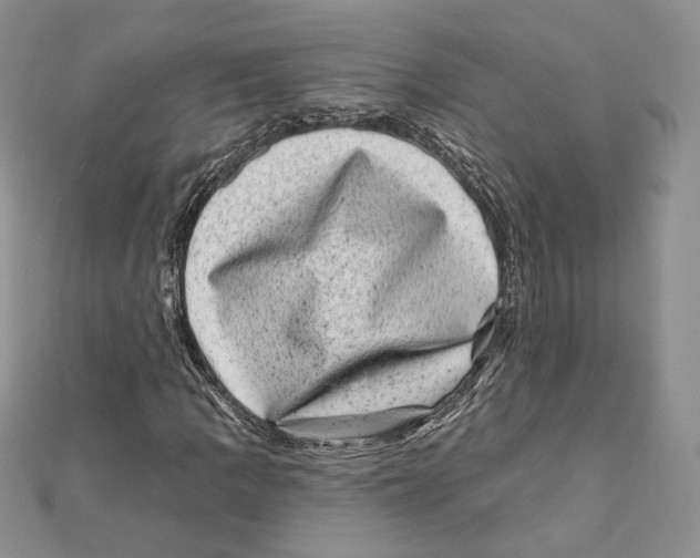 X0000111871109200908201210