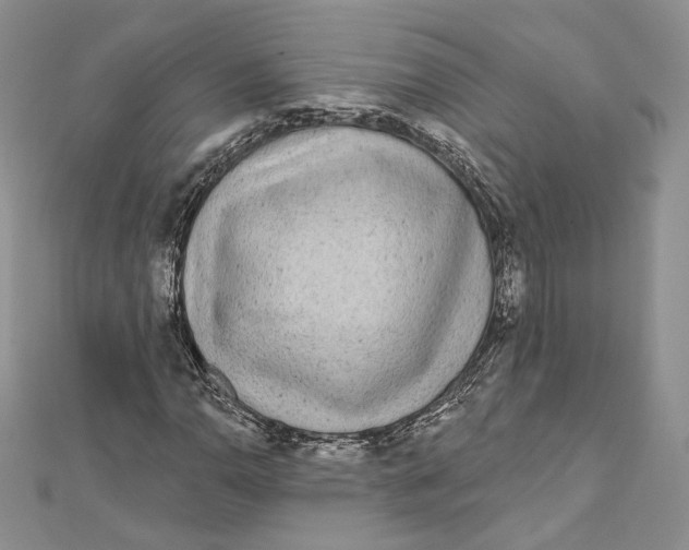 X0000111871110200908201210