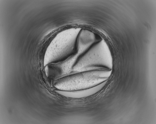 X0000111871112200908201210