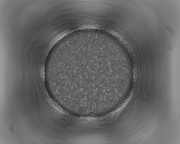 X0000111871113200908201210