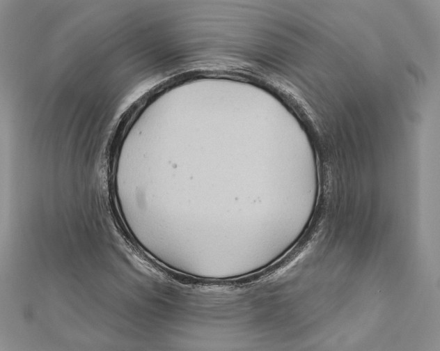 X0000111871114200908201210